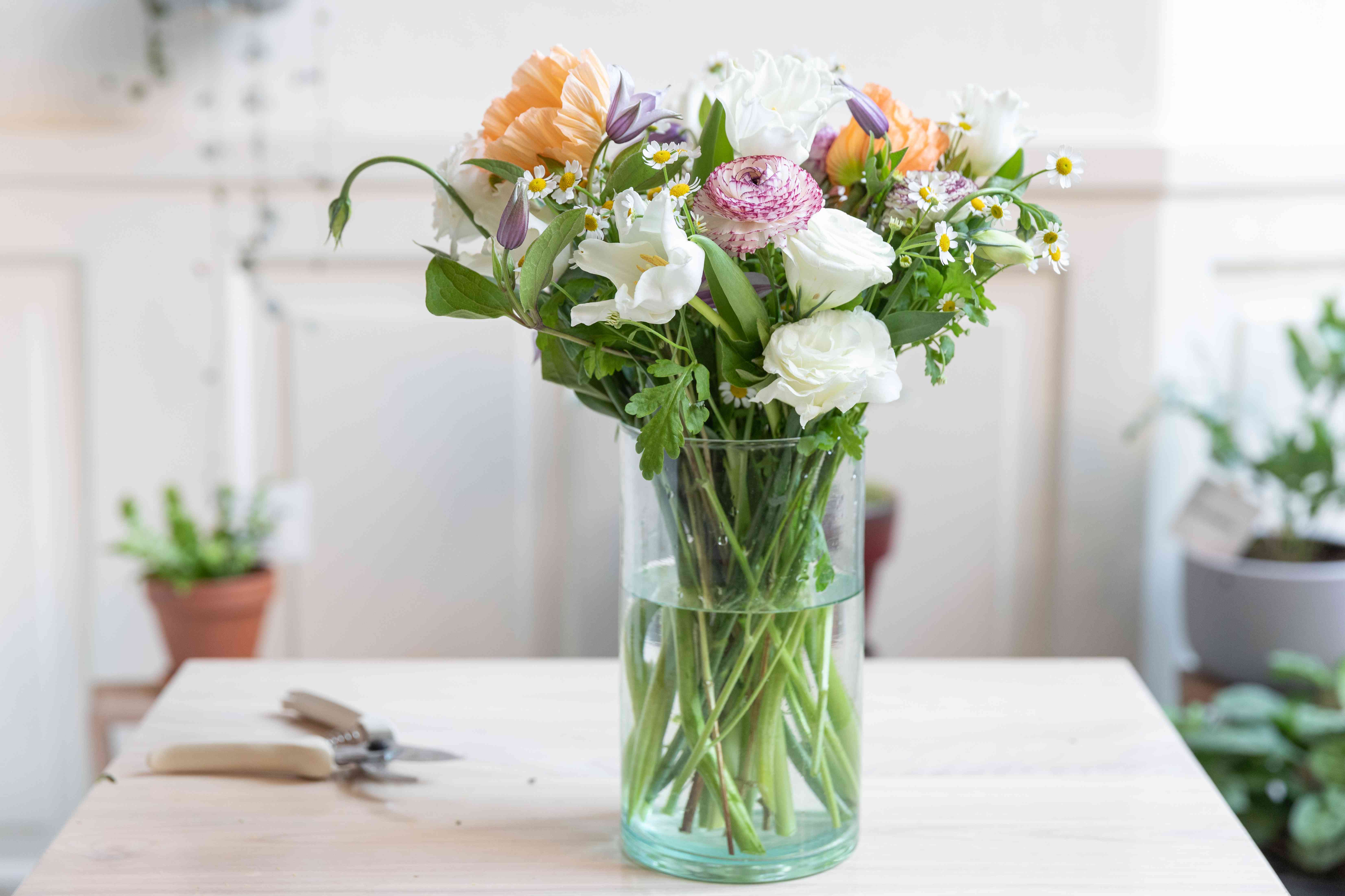 best-cut-flower-varieties-4152956-hero-d0d431664b5249b9bba8fdf1c41a88aa.jpg